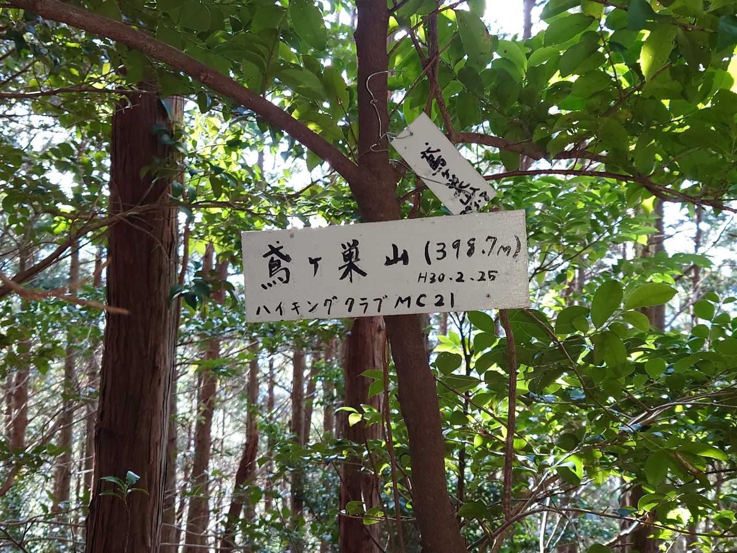 鳶ヶ巣山山頂🚩に着きました🙆
展望は得られませんでした。