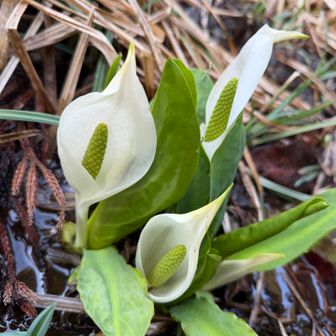 少なめでした。