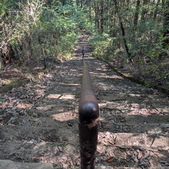 一気に登ってHP減る