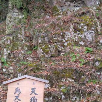 天狗・烏天狗発見！👺