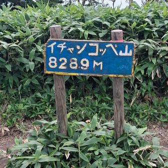 本物こちらでした(笑)