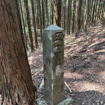 山頂神社はもうすぐ