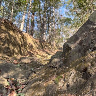 なかなかの斜度なんだけど、