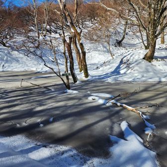 仙香池は凍っていました