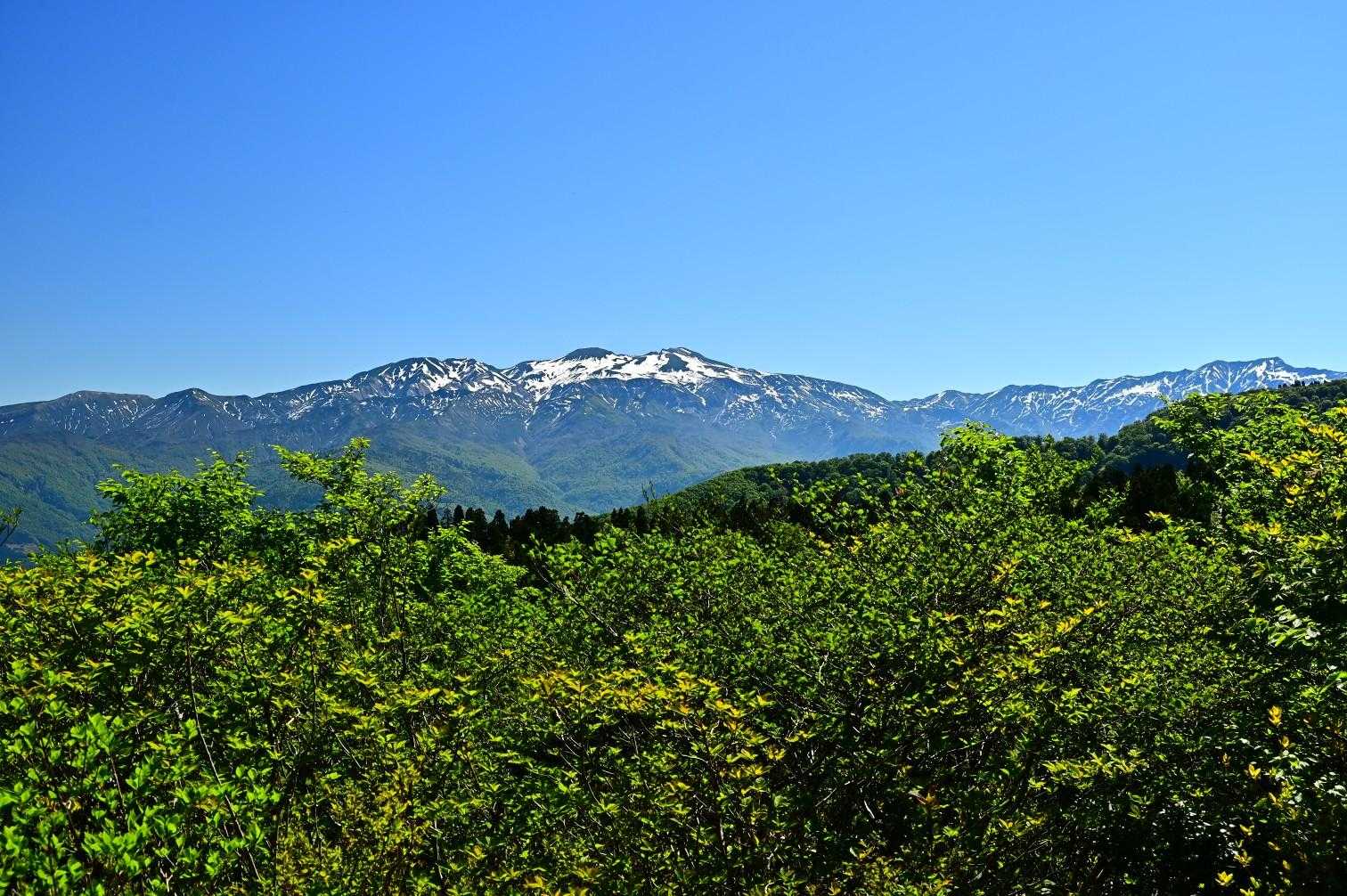 山頂からは真正面に白山が見え
まさに白山展望台だ✨️