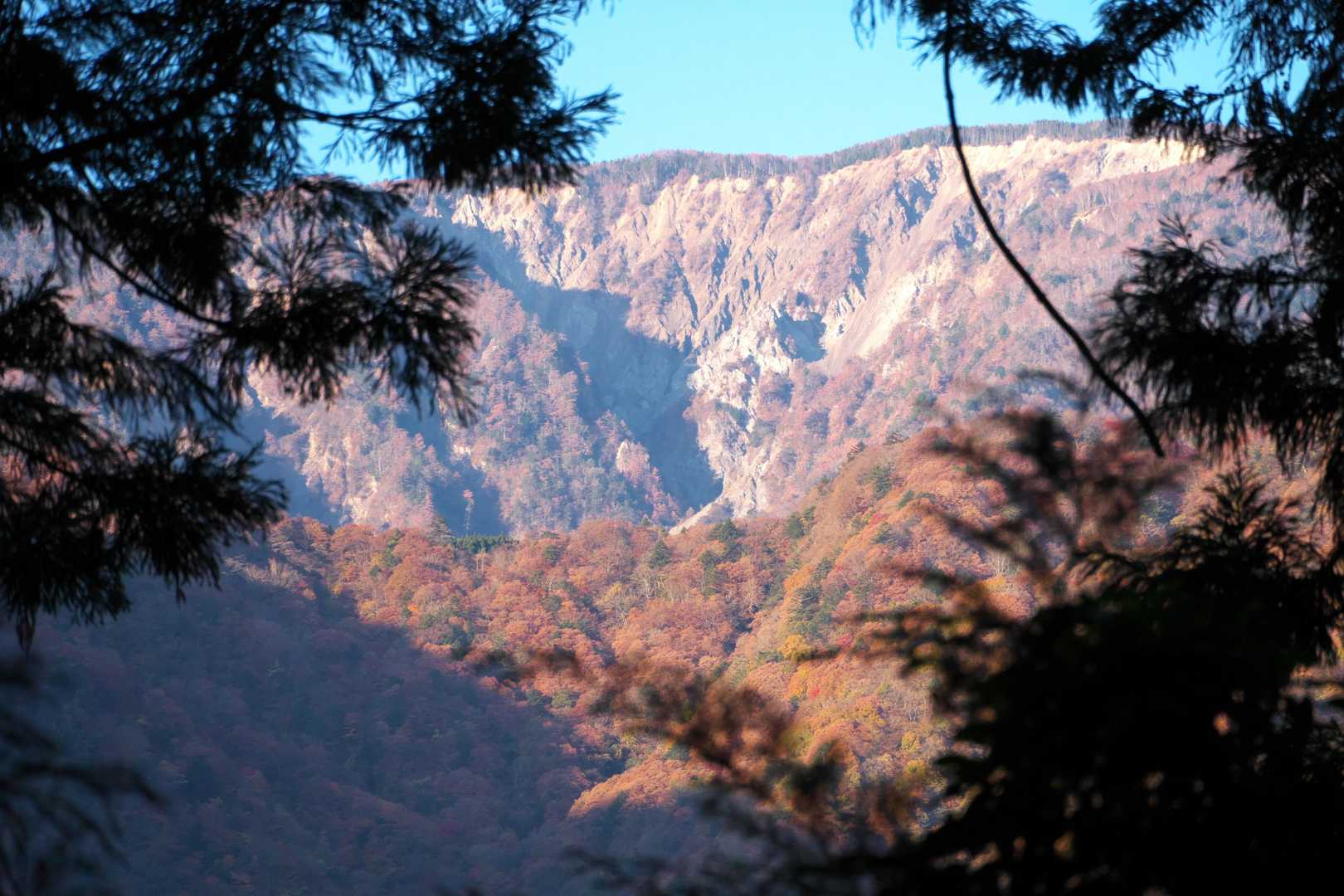 七面山が染まって見えます