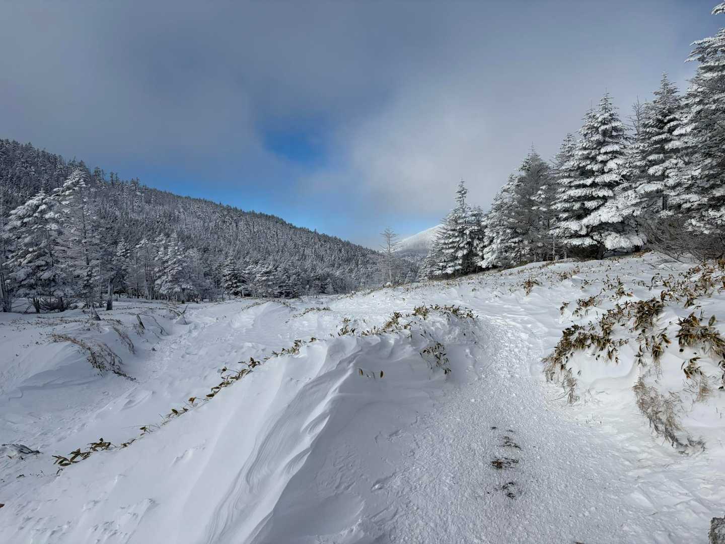 2日間晴天の登山とはならなかったけど、冬本番の山を堪能できました。