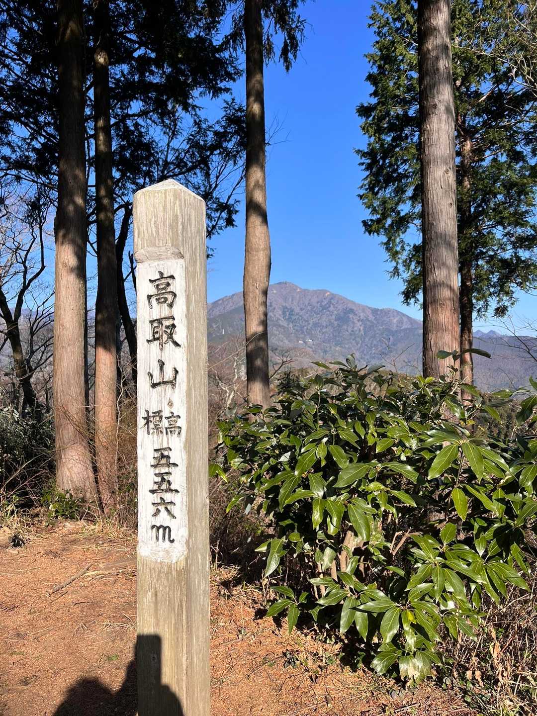 聖峰-高取山-念仏山-善波山-善波峠-弘法山-権現山-秦野 縦走コースの写真