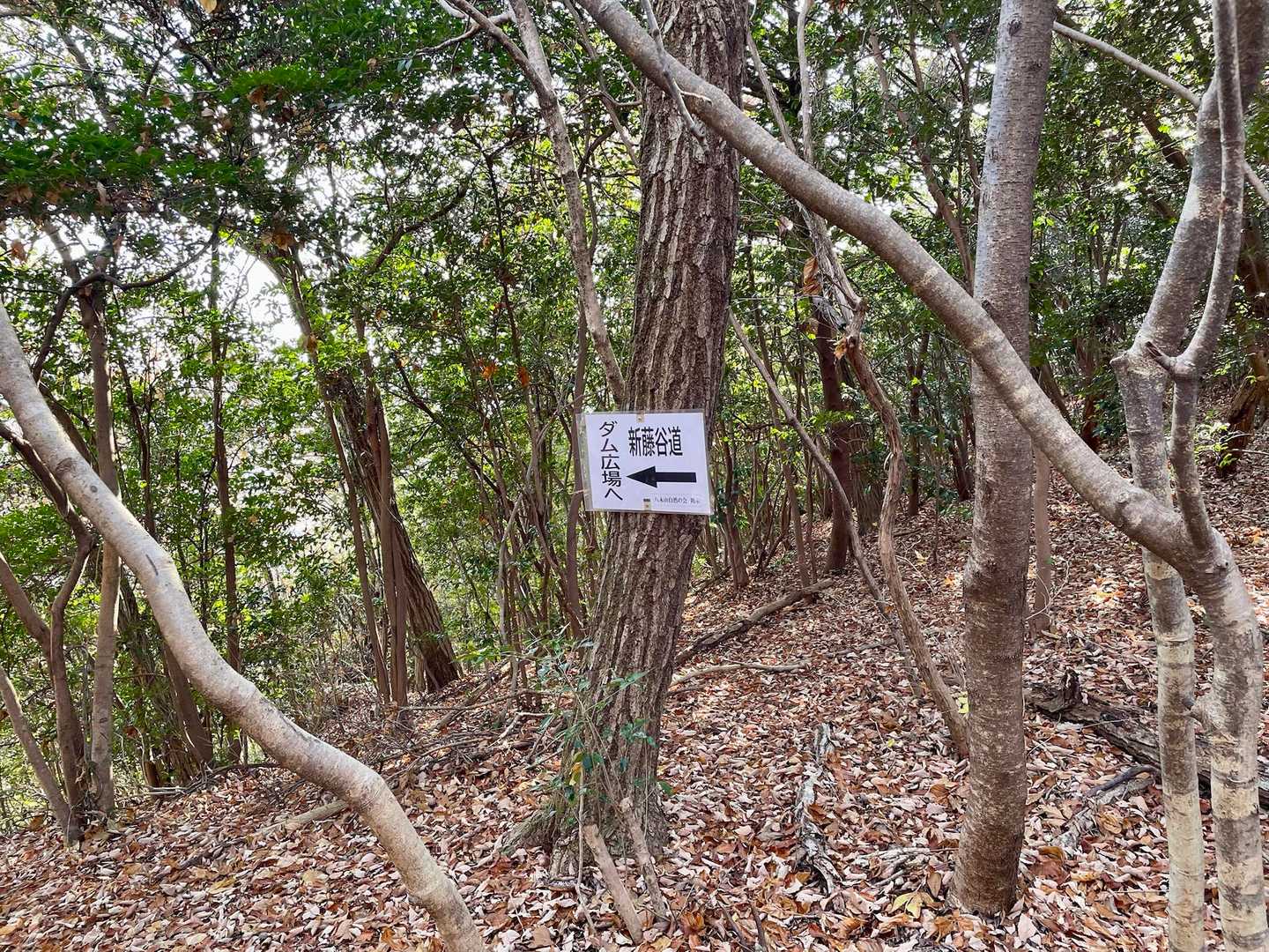藤谷もなかなか急登だった記憶が…