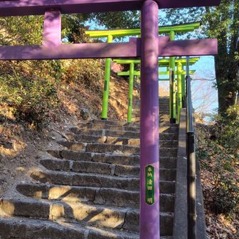 彩り鮮やかで楽しめました