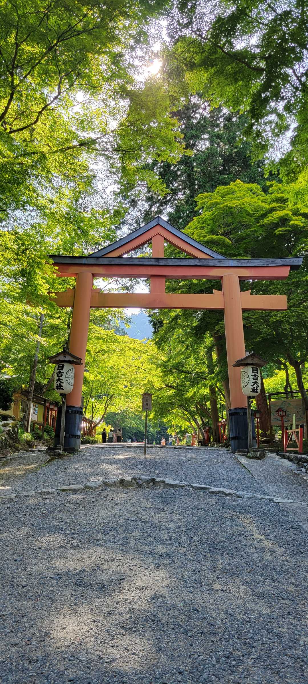 日吉大社の山王鳥居⛩️