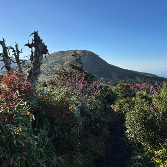 杉ヶ峰の山容