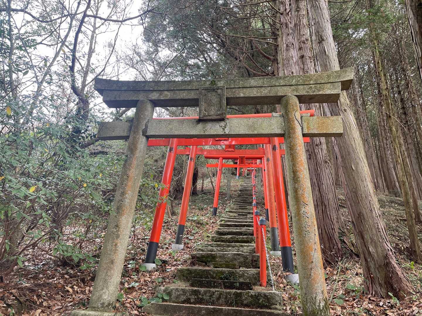 城山-矢岳 周回コースの写真