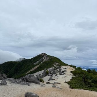 美しい✨