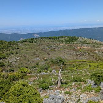 藤原カルスト台地、広々