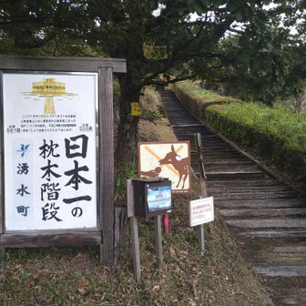 いつも通り木製階段からスタート🚶