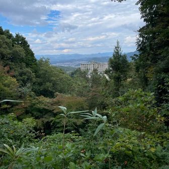 登頂からの景色