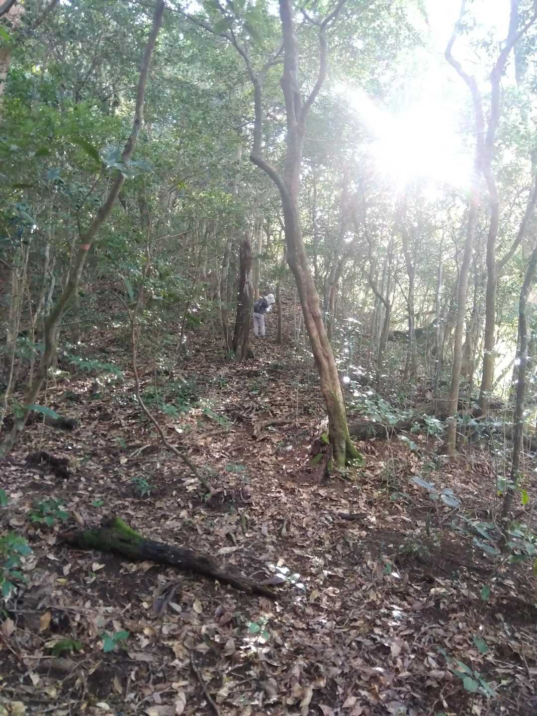 光の中の師匠を探せ！！