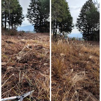 運動しようと🚶西ルートに向おうとしたら千畳敷で大工さん🪚のS氏に遭遇、元旦の初日の出を見に沢山の人が来るので草刈りしてました〜なので山歩を止めてお手伝い😁ついでに🪚をお借りして月見亭に行く道の木の根っ子を切って歩きやすくしておきましたまる😁