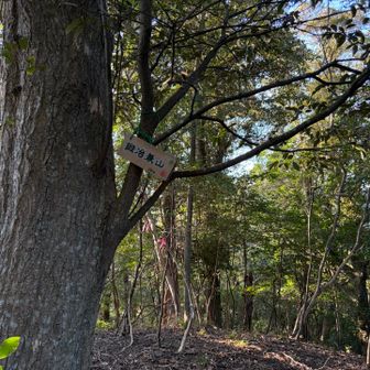 道から山に入りちょっと登ったところに兼治兼山
可愛らしい標識