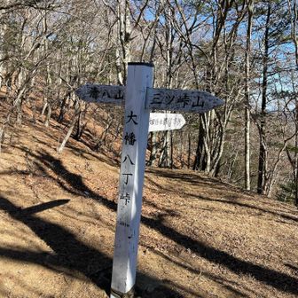 ここまでくればゴールは目の前