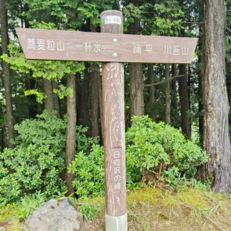 ここら辺が今日のピーク