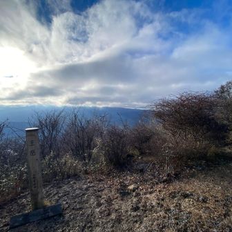 コツコツ山百【37/100】