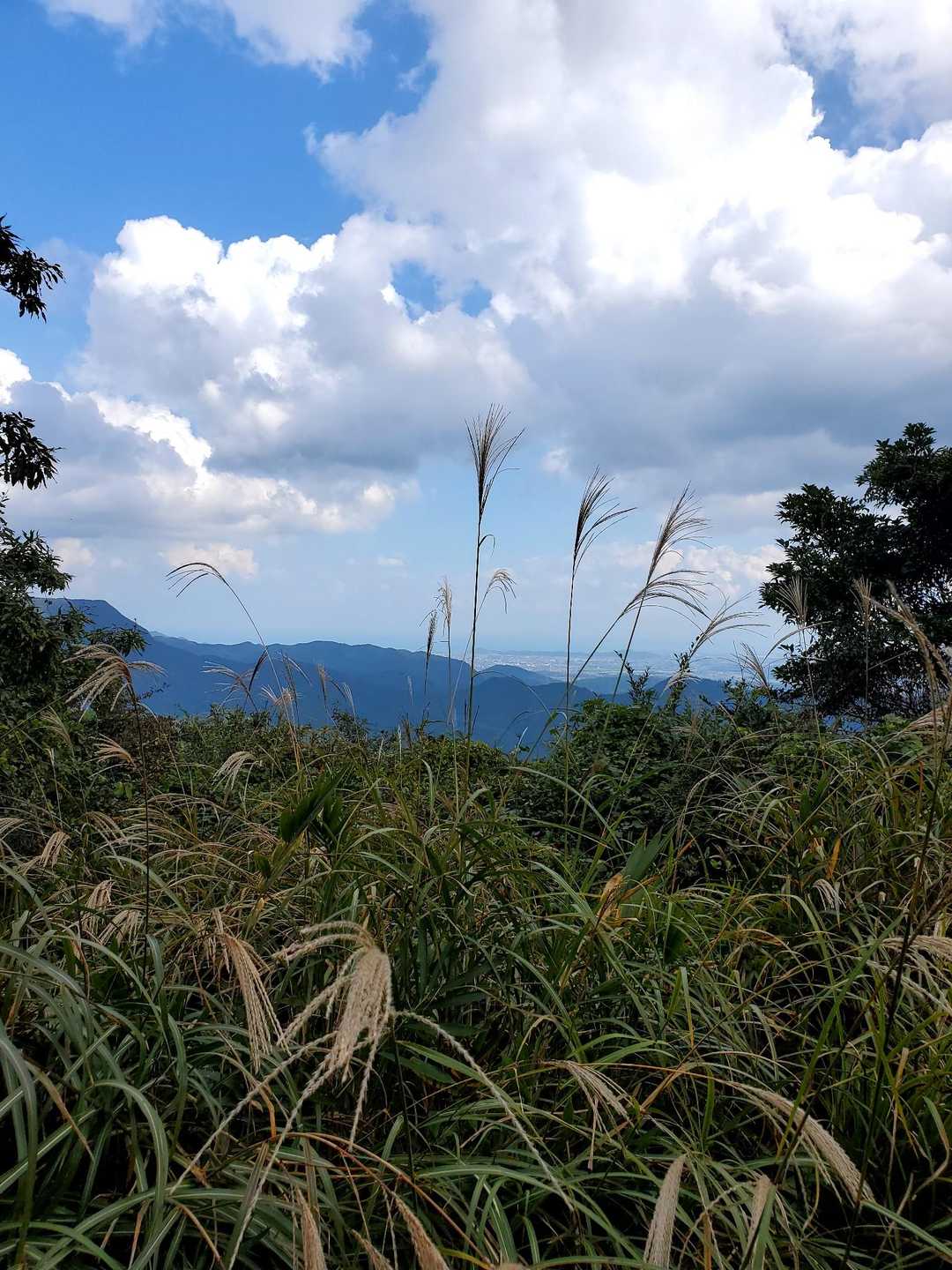 新城・茶臼山登山口-新城-茶臼山-金満山-赤牟田ノ辻 周回コースの写真