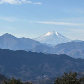 やっぱり見えると嬉しい🥹