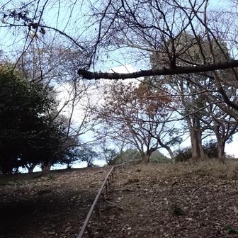 登山道の途中から山頂までモノレールが続いてます。
レール沿いに行くと山頂前で登山道を外れてしまいます。
登山道じゃないところを歩いたのが気に障ったのか、そのときだけ
「登山道を外るんな😡」と
足もとを突っついてきました。