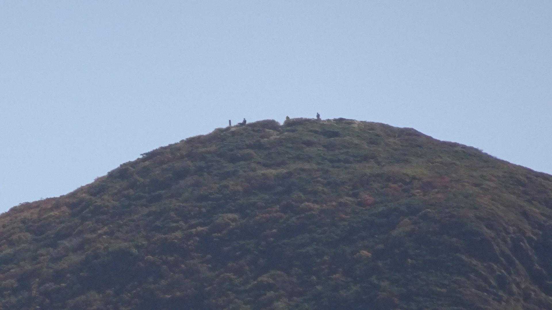 振り返って三本槍岳山頂をズームアップ📸
登山者は二人？