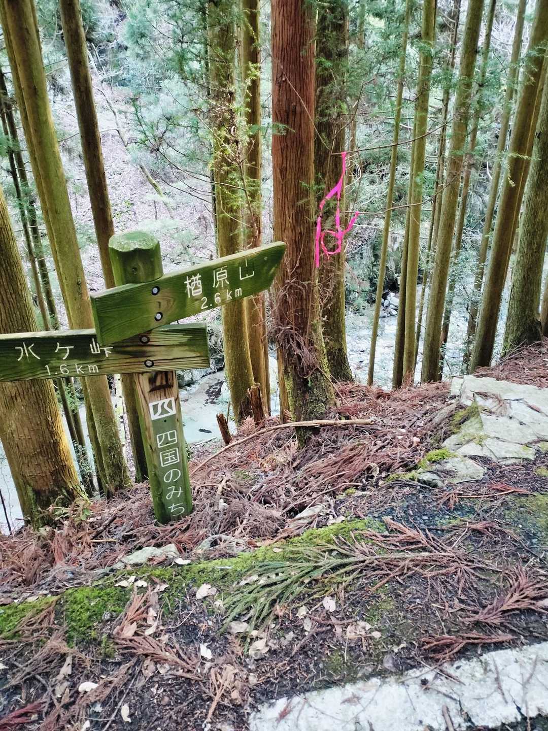 水ケ峠トンネル出口から車で約10分で楢原山の標識板まで来ました　ここが登山口みたいです
