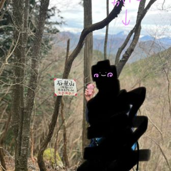 山頂で休憩してた方に撮ってもらった😊
積雪した男体山も入れてくれて良い感じ。

ぶたさん、気をつけ！のポーズで可愛い🐷🩷