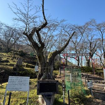 桜🌸の時期にも来たいですねぇ〜
