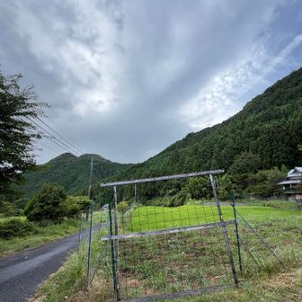 ここから駐車場までアスファルト道
登ってきた山を眺めながら帰ります！
