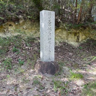 登山口に付きました。