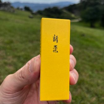 贅沢にとらやの羊羹！