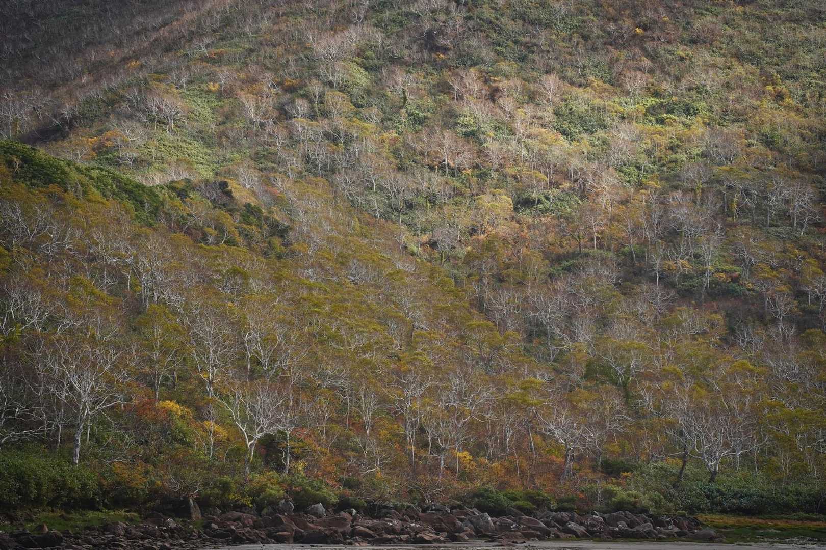 神仙沼登山口-ビーナスの丘-チセヌプリ 周回コースの写真