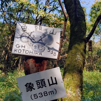 象頭山〜
面白い山頂標識🐘