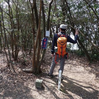 平家山3年振り3回目の登頂です！🙌

二等三角点　浦福田
382.42ｍ