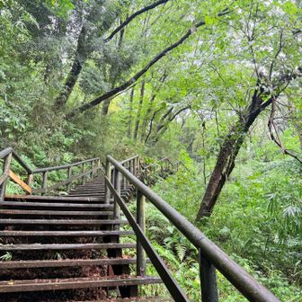 滑らないように階段を登ります