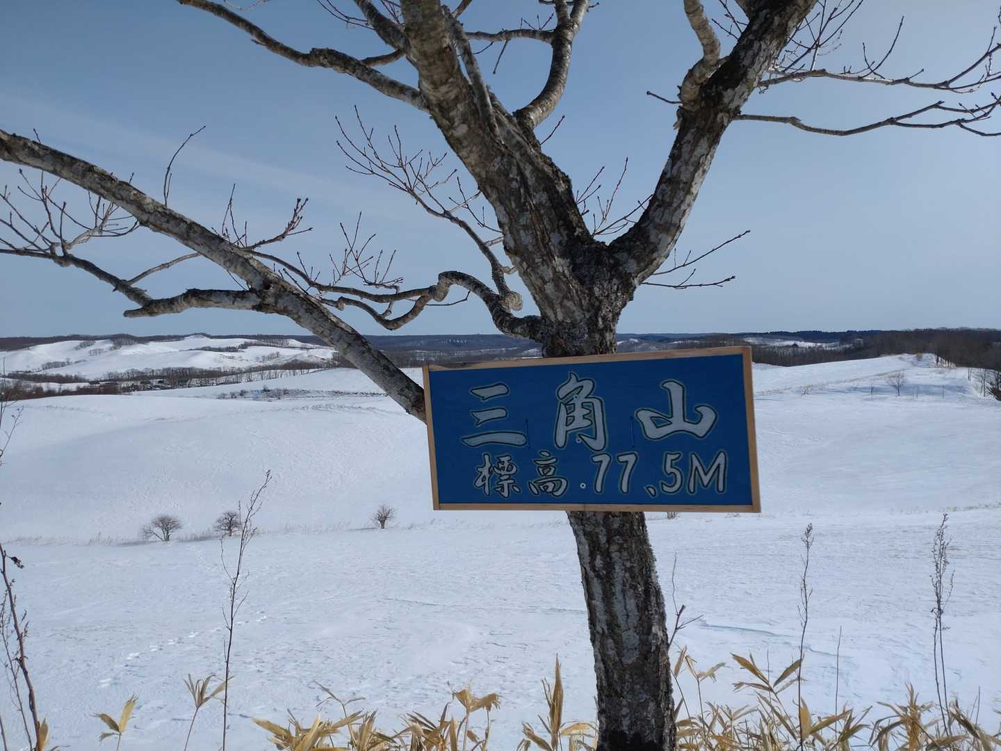 早くも山頂に到着❗
短い戦いだったぜ🙄
それでもちょっと汗ばんだ😄