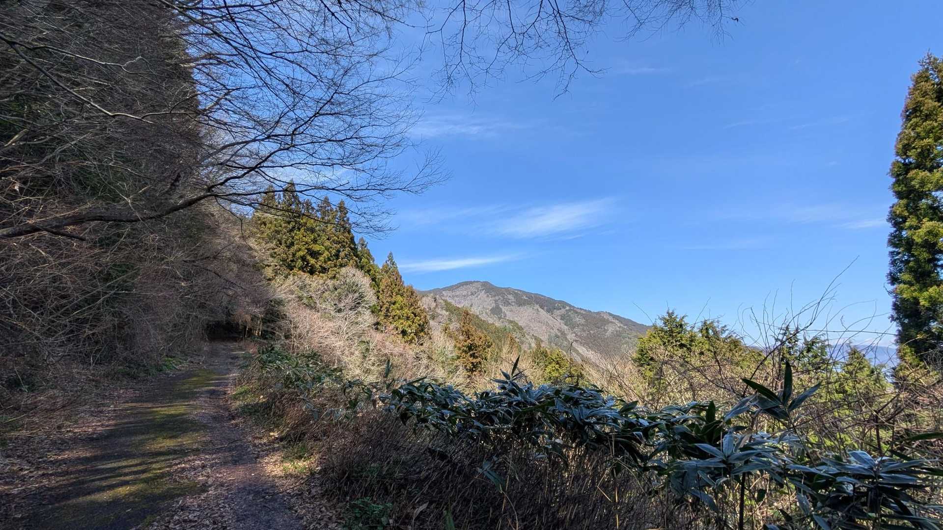 大将陣 でしょうか？