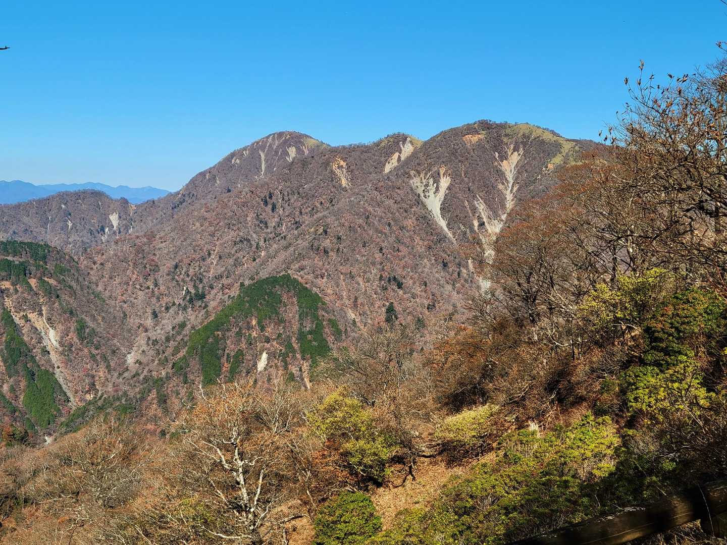 左側の凸が神奈川県最高峰の蛭ヶ岳らしい⛰️ あそこまで日帰り出来る健脚さん達が羨ましい☺