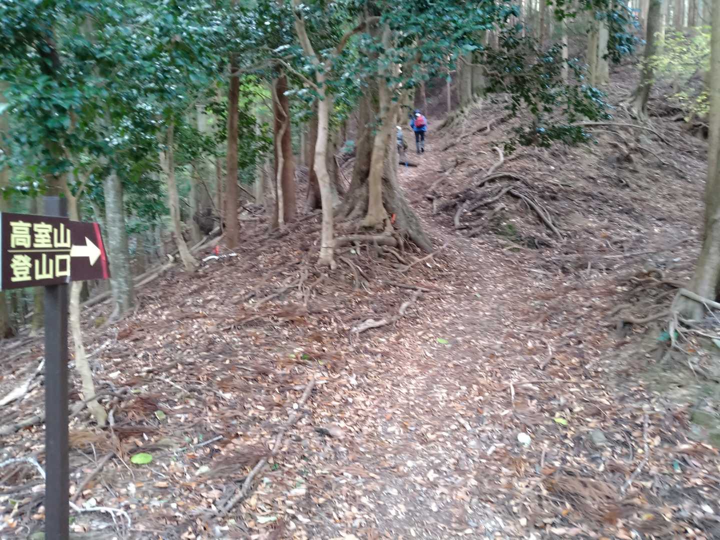 ここから登ります