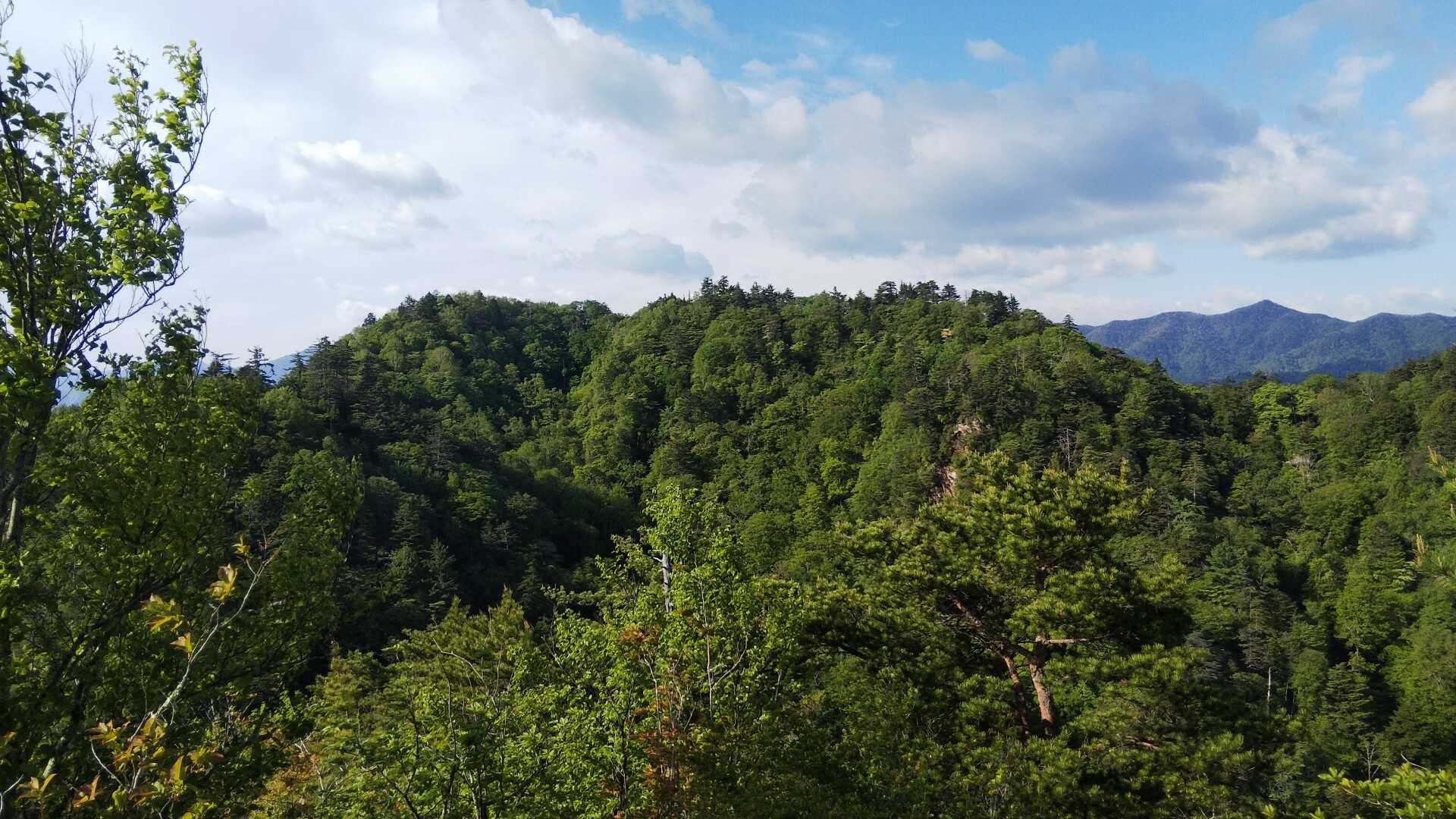 諏訪山の写真