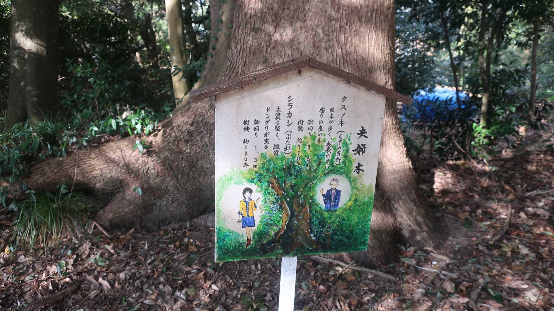 天仲寺山の写真
