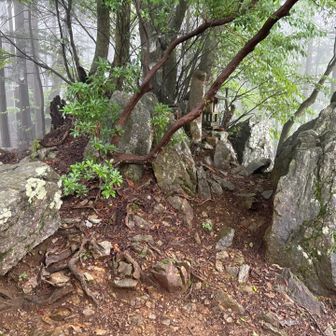 顎掛岩