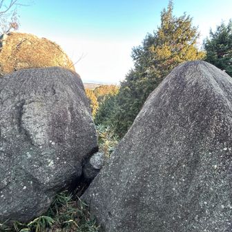 どっちが奥さんかな？