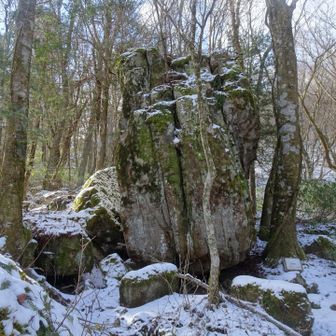 角度を変えて見ると結構スリム